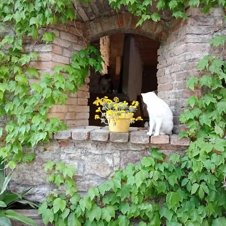 Casa Morelli