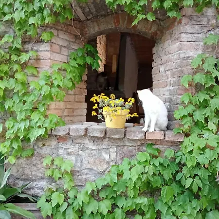 Casa Morelli