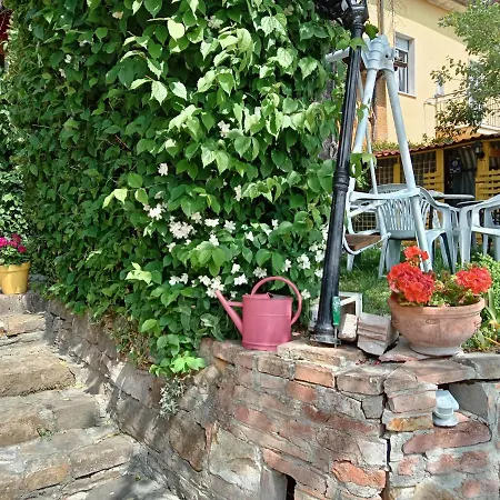 Apartment Casa Morelli