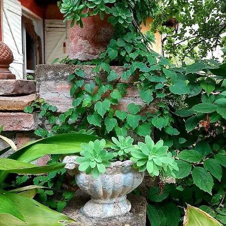 Lägenhet Casa Morelli