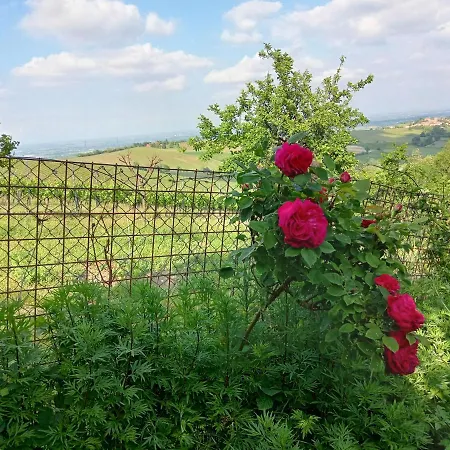 Casa Morelli