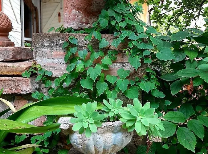 Апартаменты Casa Morelli