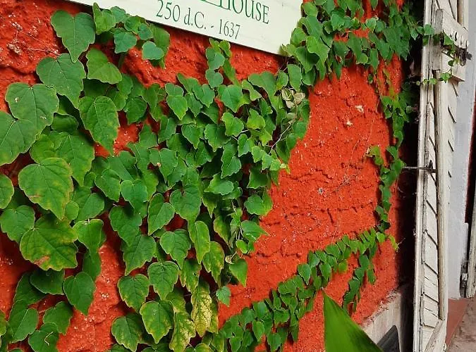 Casa Morelli Apartment Montalbo