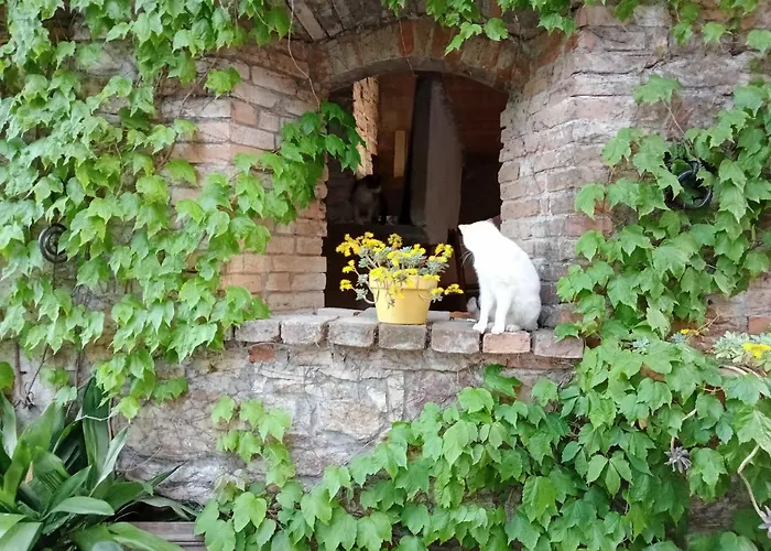Casa Morelli